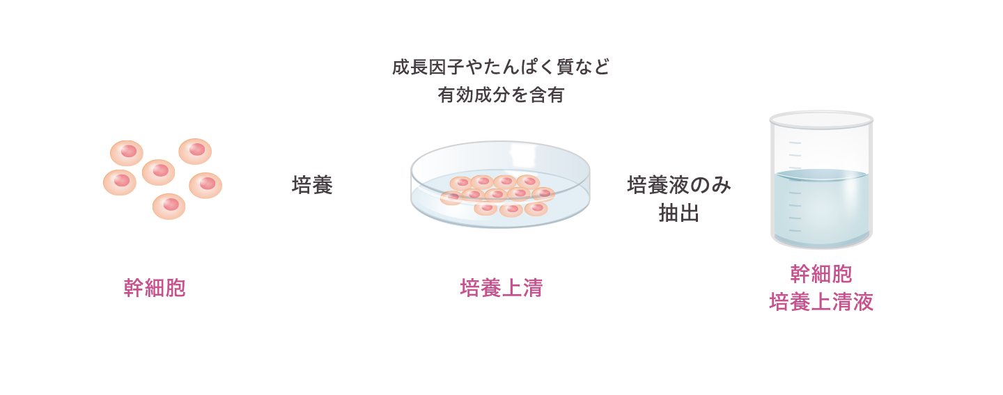 幹細胞培養上清液について